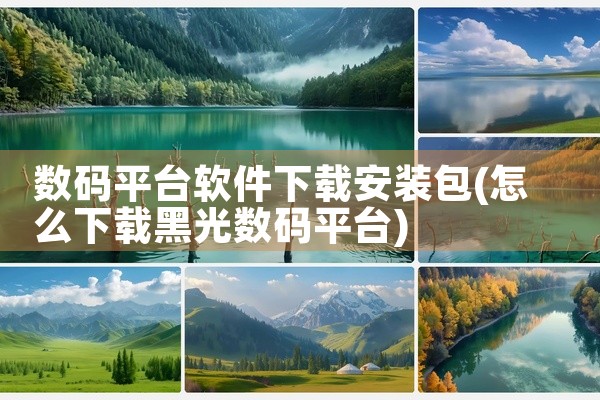 数码平台软件下载安装包