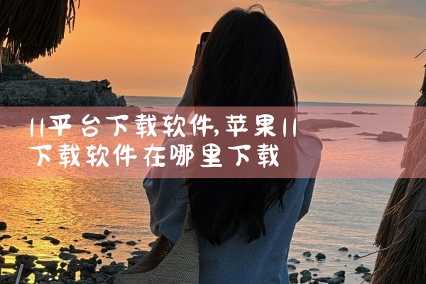 11平台下载软件