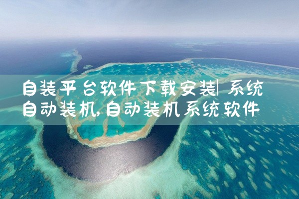 自装平台软件下载安装