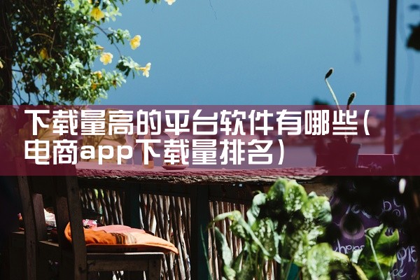 下载量高的平台软件有哪些