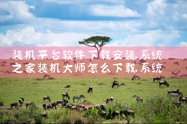 装机平台软件下载安装