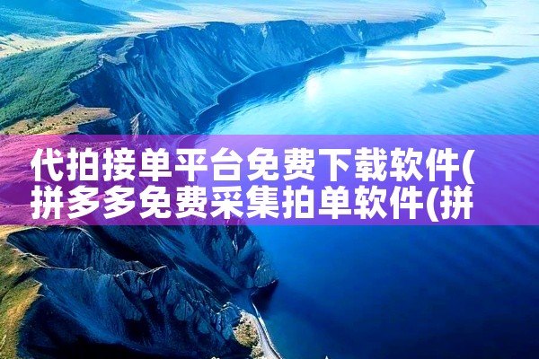 代拍接单平台免费下载软件