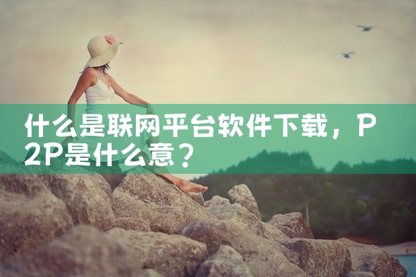 什么是联网平台软件下载
