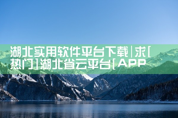 湖北实用软件平台下载