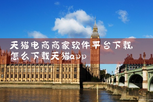 天猫电商商家软件平台下载
