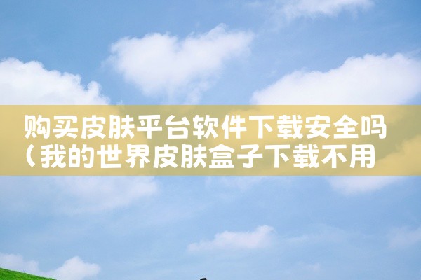 购买皮肤平台软件下载安全吗