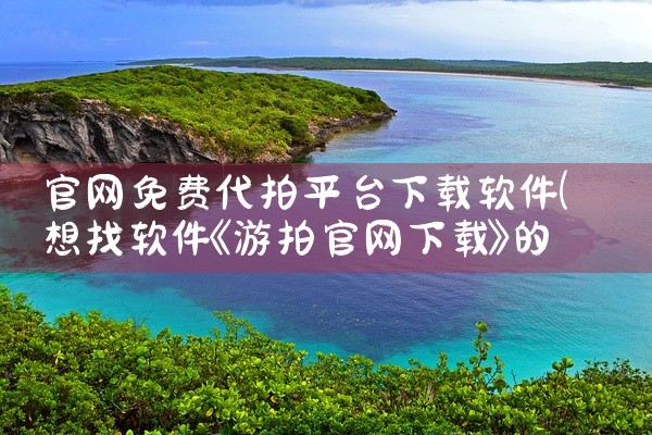 官网免费代拍平台下载软件