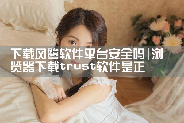 下载风鹭软件平台安全吗