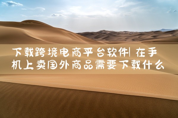 下载跨境电商平台软件