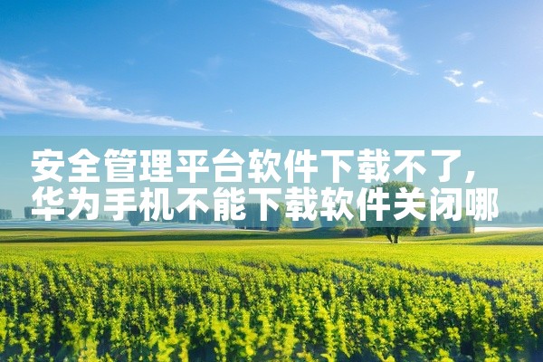 安全管理平台软件下载不了