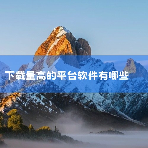 淘宝：淘宝作为国内最早的电商平台之一，拥有庞大的用户群体和丰富的商品资源，其下载量一直保持在较高水平。阿里巴巴：阿里巴巴主要面向企业和批发商，提供大宗商品交易服务，其下载量也相对较高，体现了B2B电商|