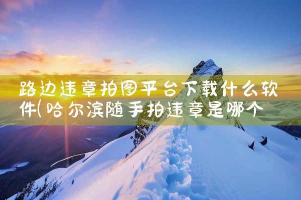 路边违章拍图平台下载什么软件
