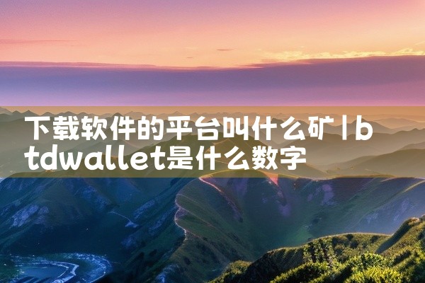 下载软件的平台叫什么矿