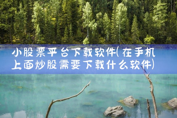 小股票平台下载软件