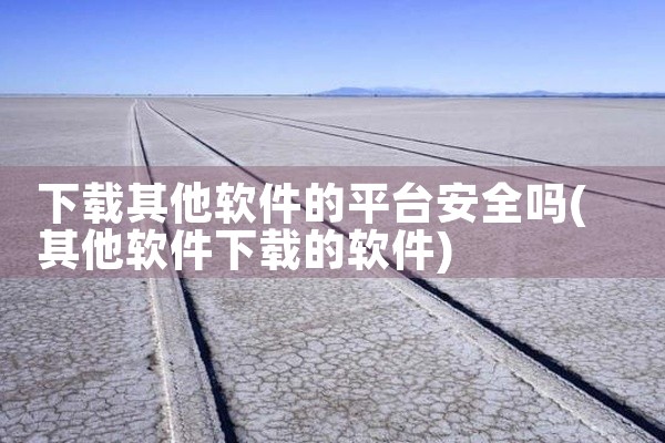下载其他软件的平台安全吗