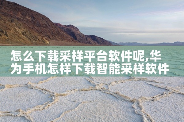 怎么下载采样平台软件呢