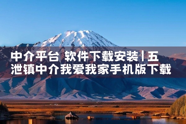 中介平台 软件下载安装