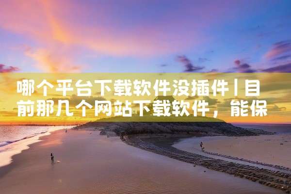 哪个平台下载软件没插件